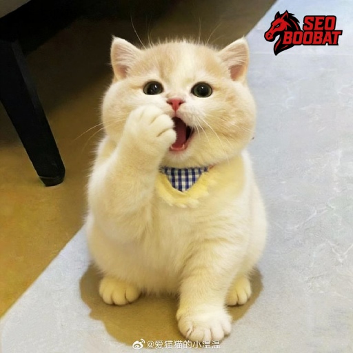 KARI4D # Produk Terbaik Situs Toto Slot & Toto Togel Online Terpercaya Modal Receh