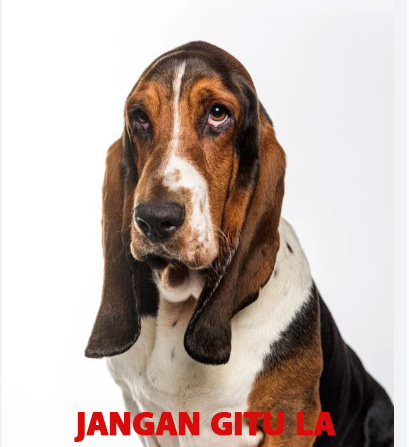 LICIN4D: Info Situs Toto Slot Online & Link Toto Togel 4D Resmi Terpercaya