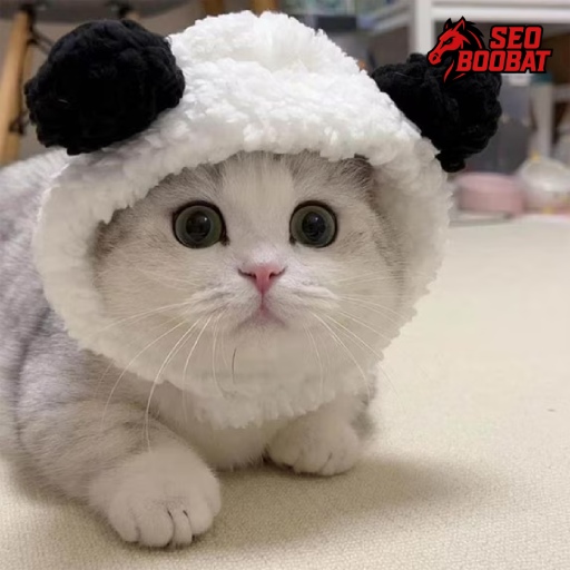 PASCOL4D | Eskalasi Situs Toto Slot Gacor 4D dengan Toto Togel 4D Terpercaya Optimal